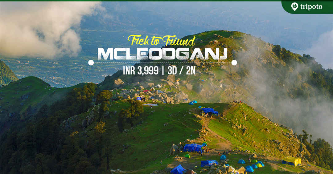 Photo of McLeodganj Triund Trek