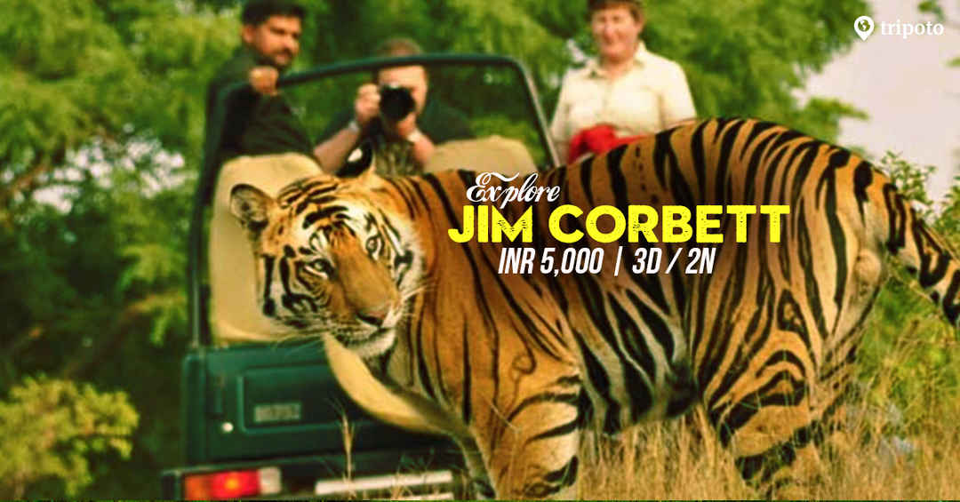 Photo of Jim Corbett Weekend Trip