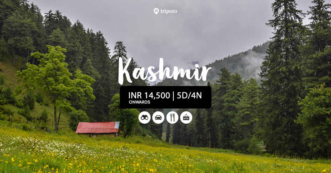 Photo of Gorgeous Kashmir 