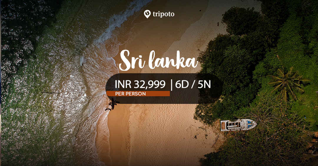 Photo of A Trip to Srilanka