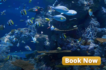 Photo of Unravel the Sec