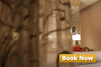 Photo of These Themed Ho