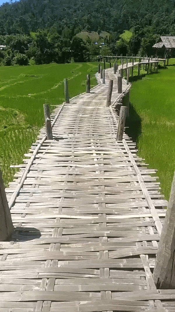 Photo of The Land Split & Bamboo Bridge of Pai, Thailand by Parag Phadnis