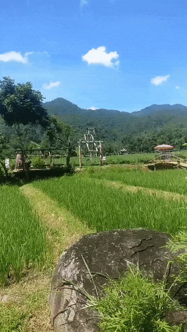 Photo of Thailand by Parag Phadnis